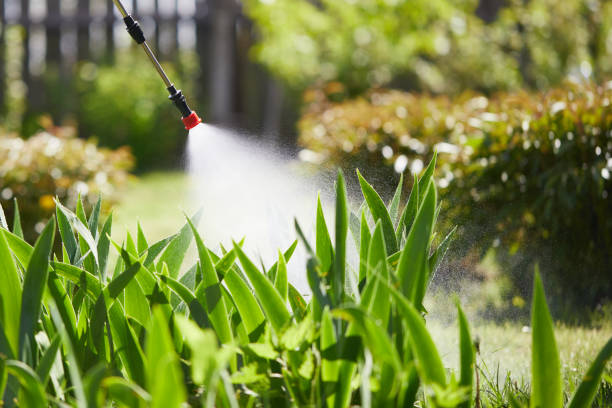 24/7 Emergency Cockroach Control experts in Ganado, TX