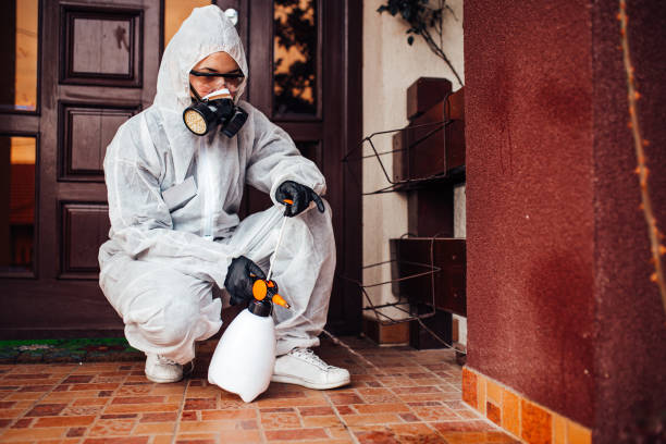 Reliable Cockroach Control contractor in Ganado, TX by Nex Pest Control